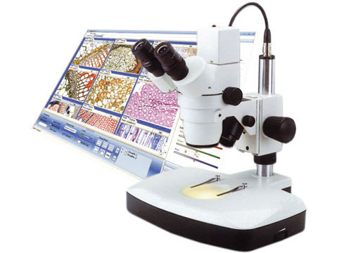 כיצד לבחור מיקרוסקופ-מיקרוסקופ דיגיטלי